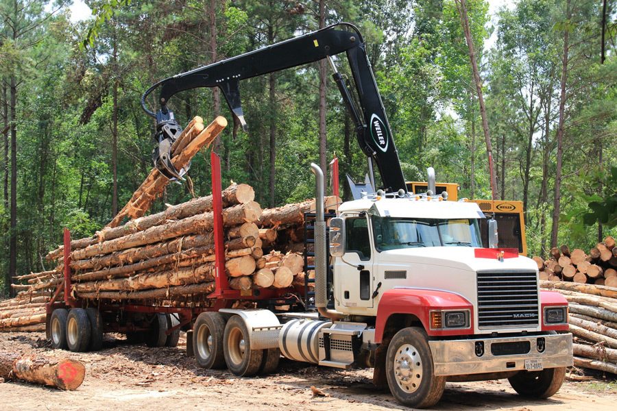 Logging
